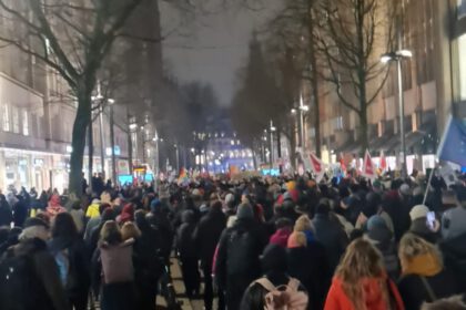 Demonstration gegen die AfD am 16. Januar 2025 in Hamburg. Foto: RedGlobe
