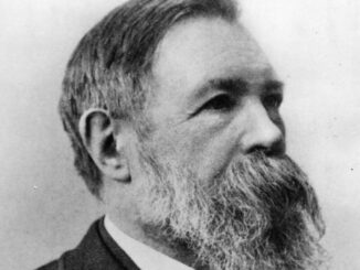 Friedrich Engels im Jahr 1891, Fotograf William Elliott Debenham (1839–1924)
