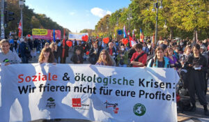 Wir frieren nicht für eure Profite: Demonstration in Berlin. Foto: RedGlobe
